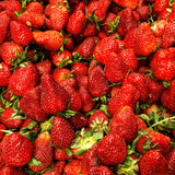 Autocueillette de Fraises (Juin à Octobre)