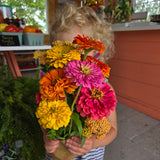 Autocueillette de Fleurs (Juillet - Août - Septembre)