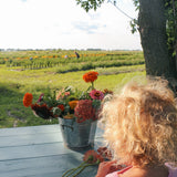Autocueillette de Fleurs (Juillet - Août - Septembre)