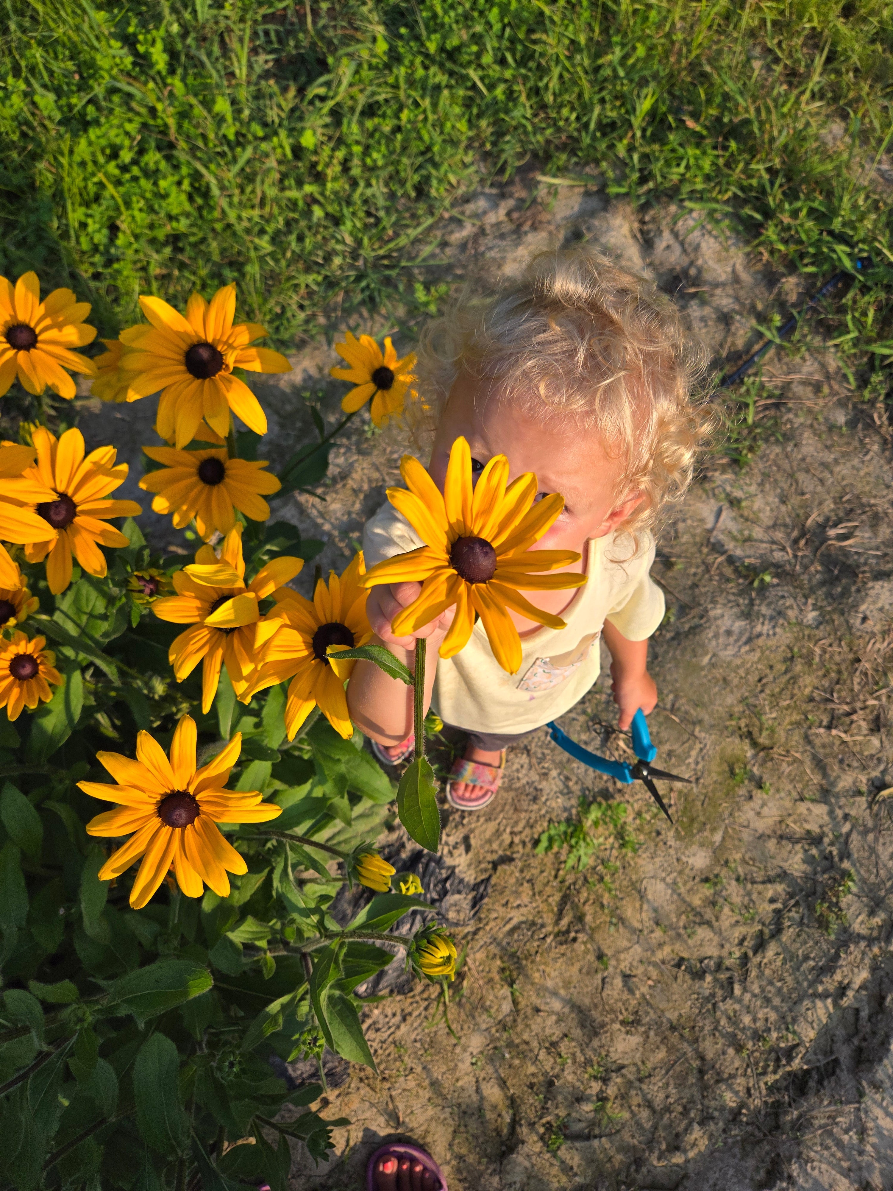 Fleurs - Recette glaçons fleuris 🌼
